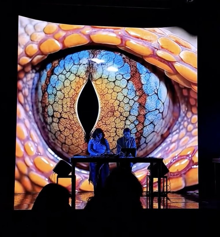 Live performance with reptile eye projection surrounding the performers.