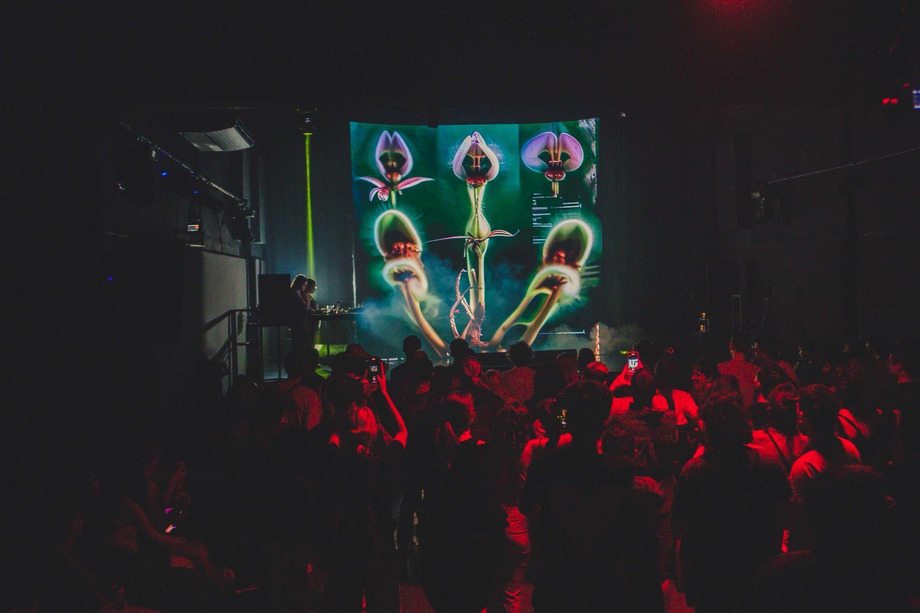 Large live performance projection with abstract magenta botanical form and audience.