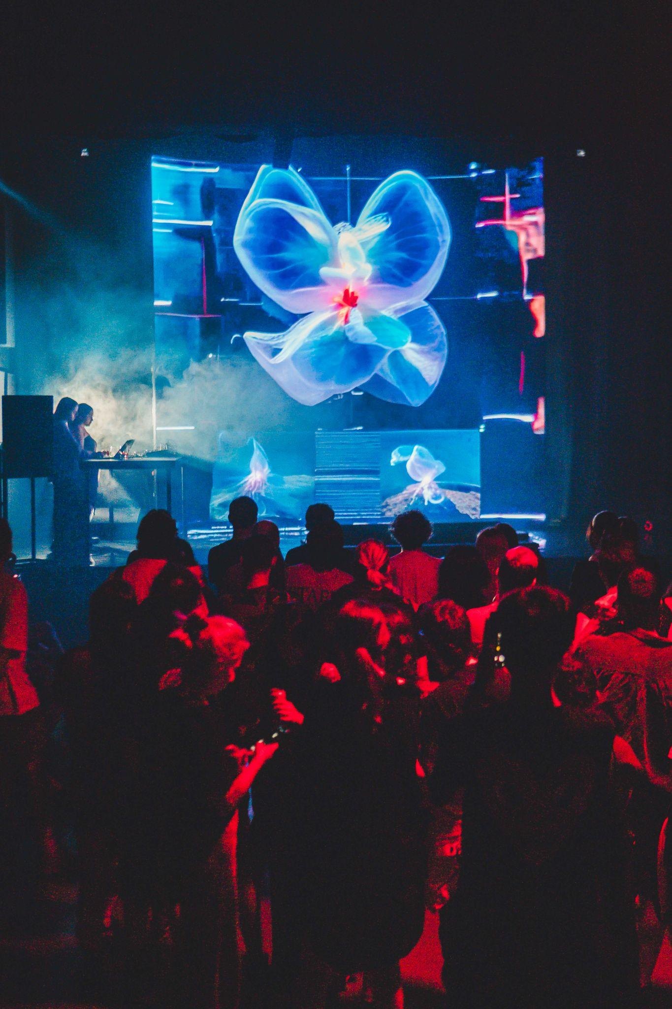 Vertical view of a live performance with blue projection.